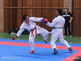 dmd20120401__NKWado-1116