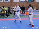 dmd20120401__NKWado-1119