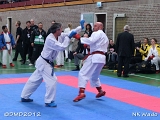 dmd20120401__NKWado-1126