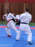 dmd20120401__NKWado-1139