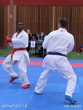 dmd20120401__NKWado-1140