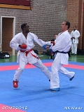 dmd20120401__NKWado-1148