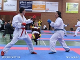 dmd20120401__NKWado-1150