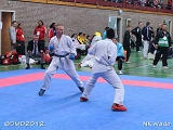 dmd20120401__NKWado-1161