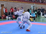dmd20120401__NKWado-1162