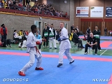 dmd20120401__NKWado-1163