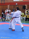 dmd20120401__NKWado-1175