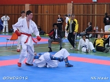 dmd20120401__NKWado-1191