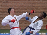 dmd20120401__NKWado-1203