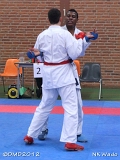 dmd20120401__NKWado-1204