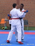 dmd20120401__NKWado-1205