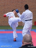 dmd20120401__NKWado-1207