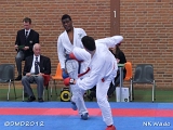 dmd20120401__NKWado-1209