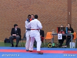 dmd20120401__NKWado-1210