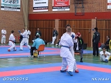 dmd20120401__NKWado-1212