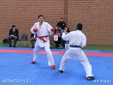 dmd20120401__NKWado-1214