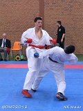 dmd20120401__NKWado-1215