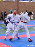 dmd20120401__NKWado-1216