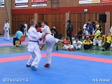 dmd20120401__NKWado-1217