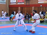 dmd20120401__NKWado-1218