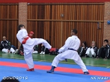 dmd20120401__NKWado-1225