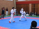 dmd20120401__NKWado-1229