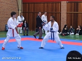 dmd20120401__NKWado-1230