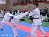 dmd20120401__NKWado-1235