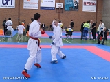 dmd20120401__NKWado-1241