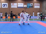 dmd20120401__NKWado-1258