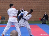 dmd20120401__NKWado-1259