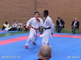 dmd20120401__NKWado-1267