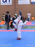 dmd20120401__NKWado-1272