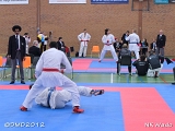 dmd20120401__NKWado-1275