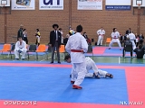 dmd20120401__NKWado-1276