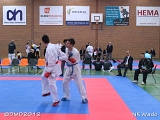 dmd20120401__NKWado-1281