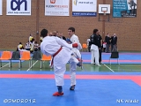 dmd20120401__NKWado-1301