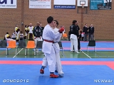 dmd20120401__NKWado-1303