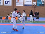 dmd20120401__NKWado-1304