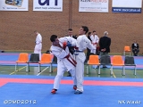 dmd20120401__NKWado-1310