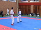 dmd20120401__NKWado-1314