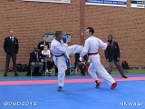 dmd20120401__NKWado-1318