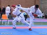 dmd20120401__NKWado-1338