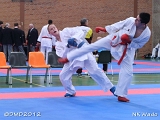 dmd20120401__NKWado-1339