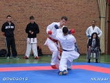 dmd20120401__NKWado-1354