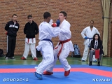 dmd20120401__NKWado-1363