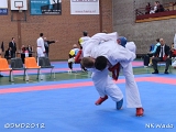 dmd20120401__NKWado-1376