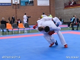 dmd20120401__NKWado-1377