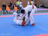 dmd20120401__NKWado-1378