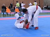 dmd20120401__NKWado-1379